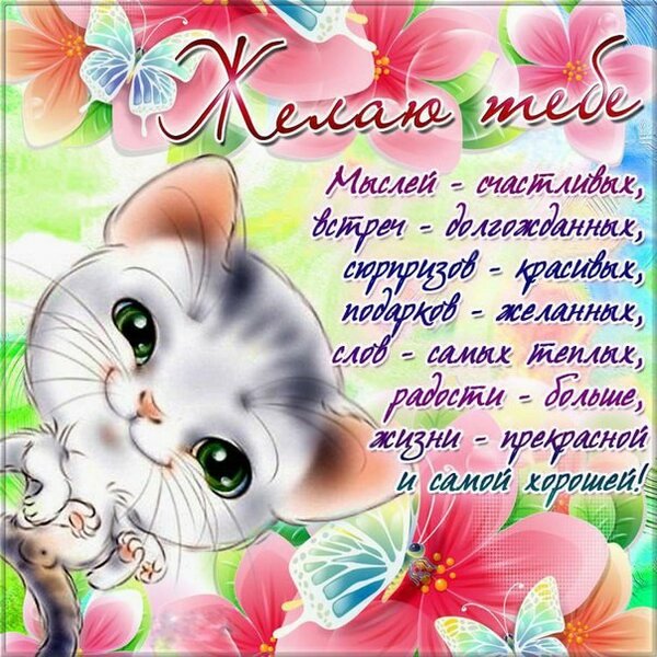 25 Cards In Collection Pozdravleniya S Dnem Rozhdeniya V Proze