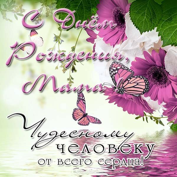 ���, �������� ������������ ������������ � ���� �������� �������