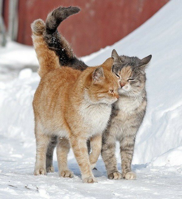 �����, �������� � ������� � ��������� ��� ������