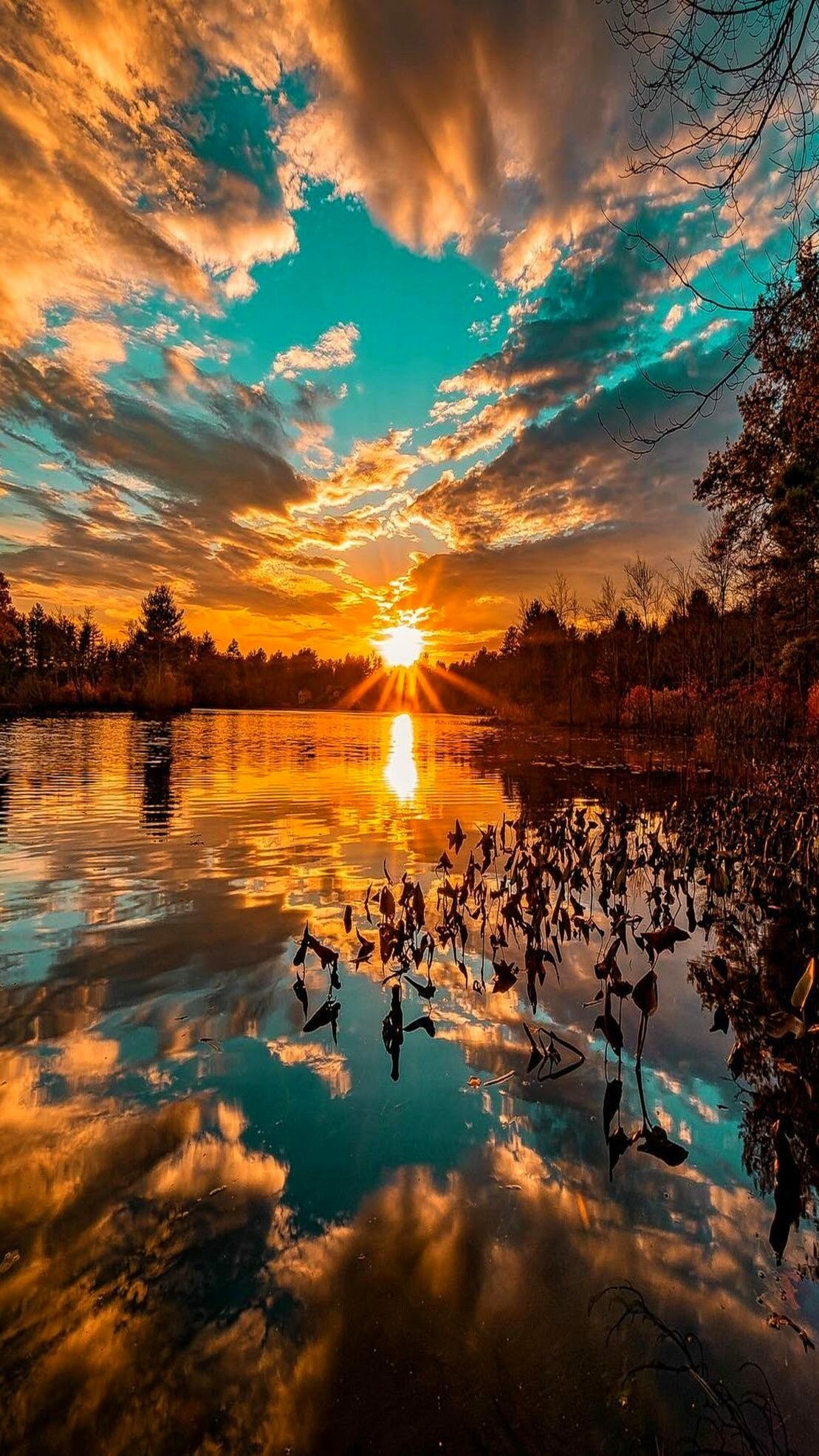 завораживающие пейзажи фото