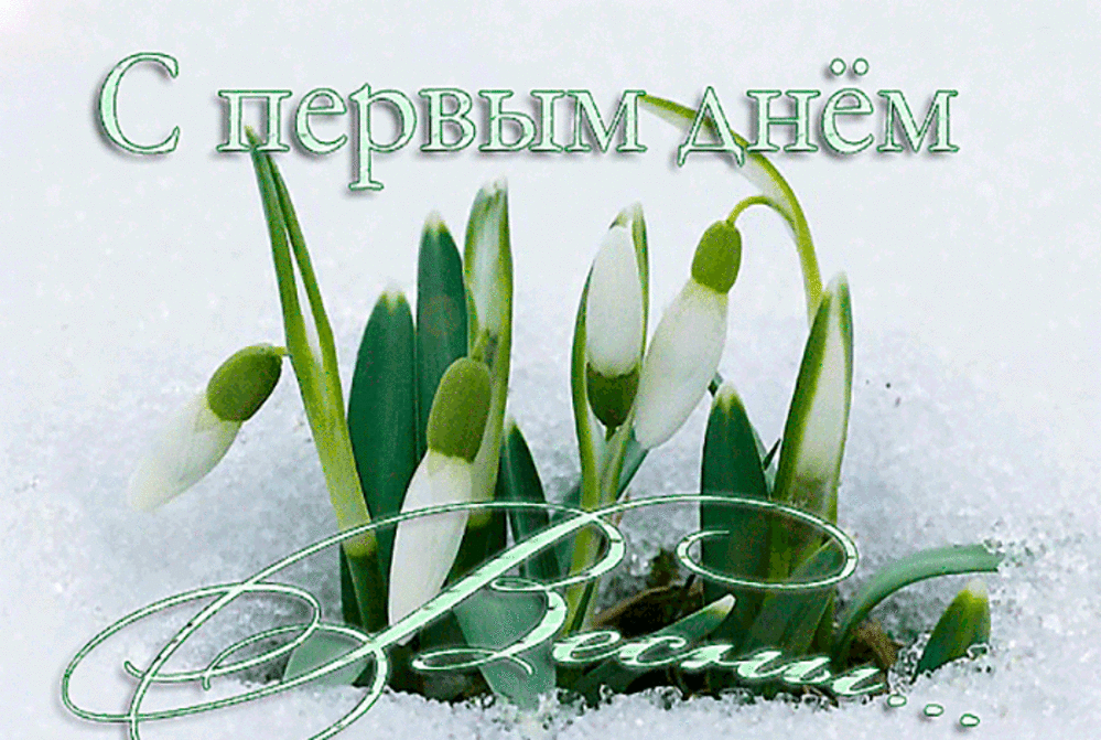 �������� �������� ������ ���� �����, �������� ����������