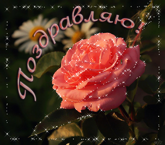 �������� �������, ������������� �������� � �������������