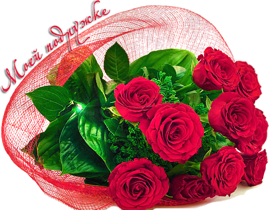 ����� �������� ��������, ����