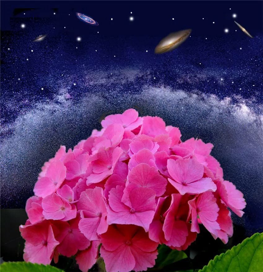 �������� ������ � �����