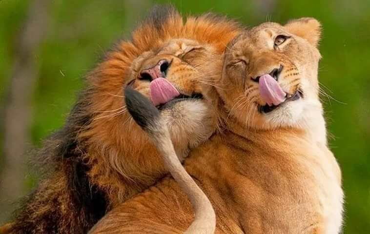 ������� �������� � ��������� ��� ��������� � �����