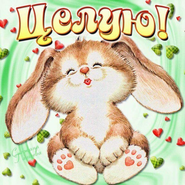 �������� �������, �������� � ���������