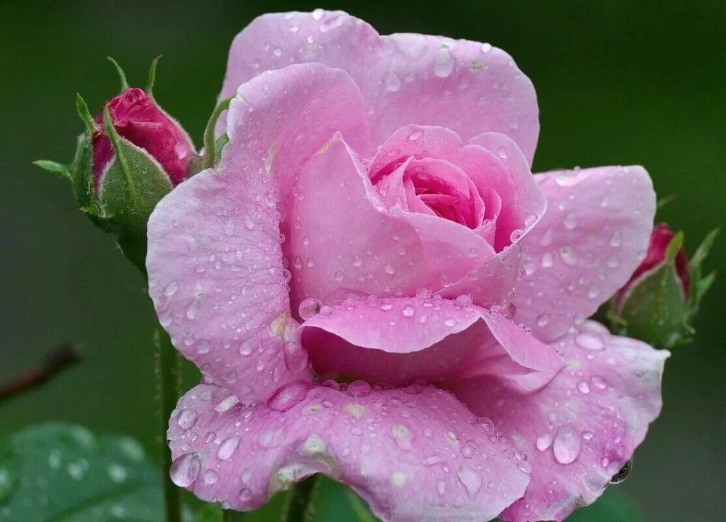 �������� ������ ������ � ����