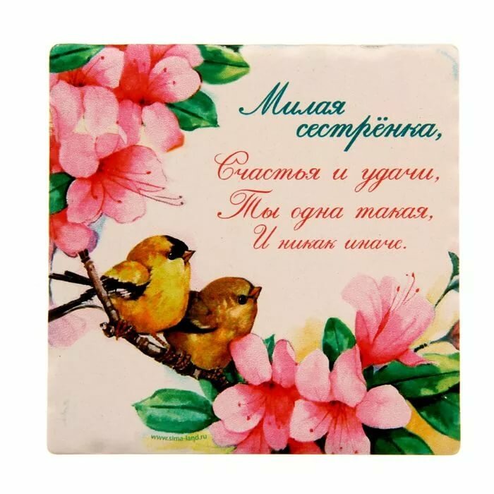 �������� ������� ������ ������