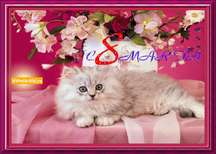 �������� 8 ����� � ��������