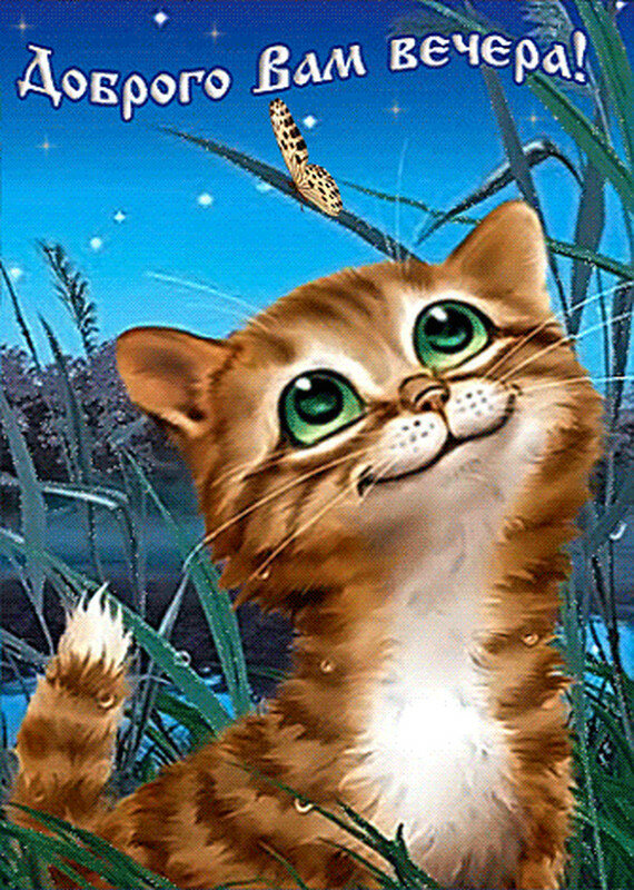 ���������� �������� ������� ������