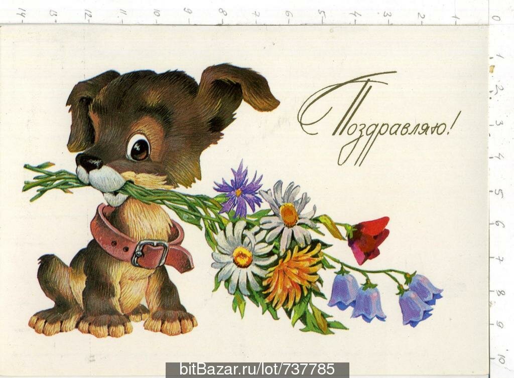 ���� ���, ������������ � ���� �������� ����� � ��������� 12 ���