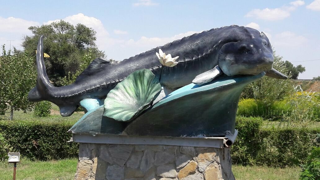 памятник осетру в астрахани фото