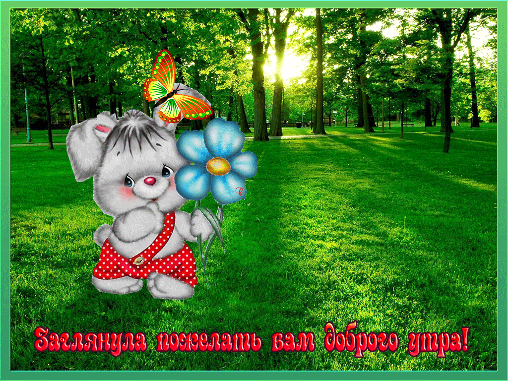 ����� �������� � ������ �����, ��������� ��������