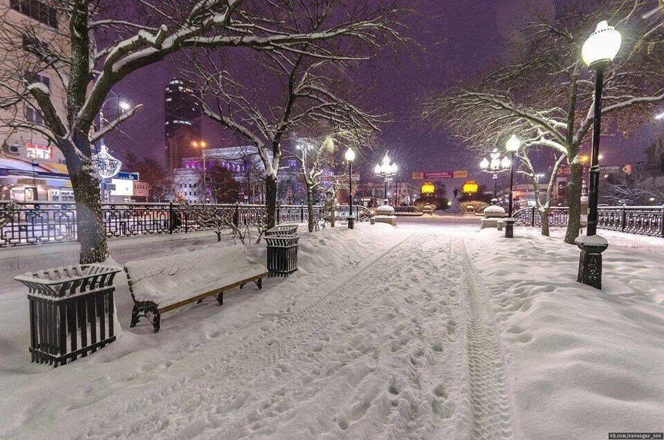 александровский парк москва зимой фото