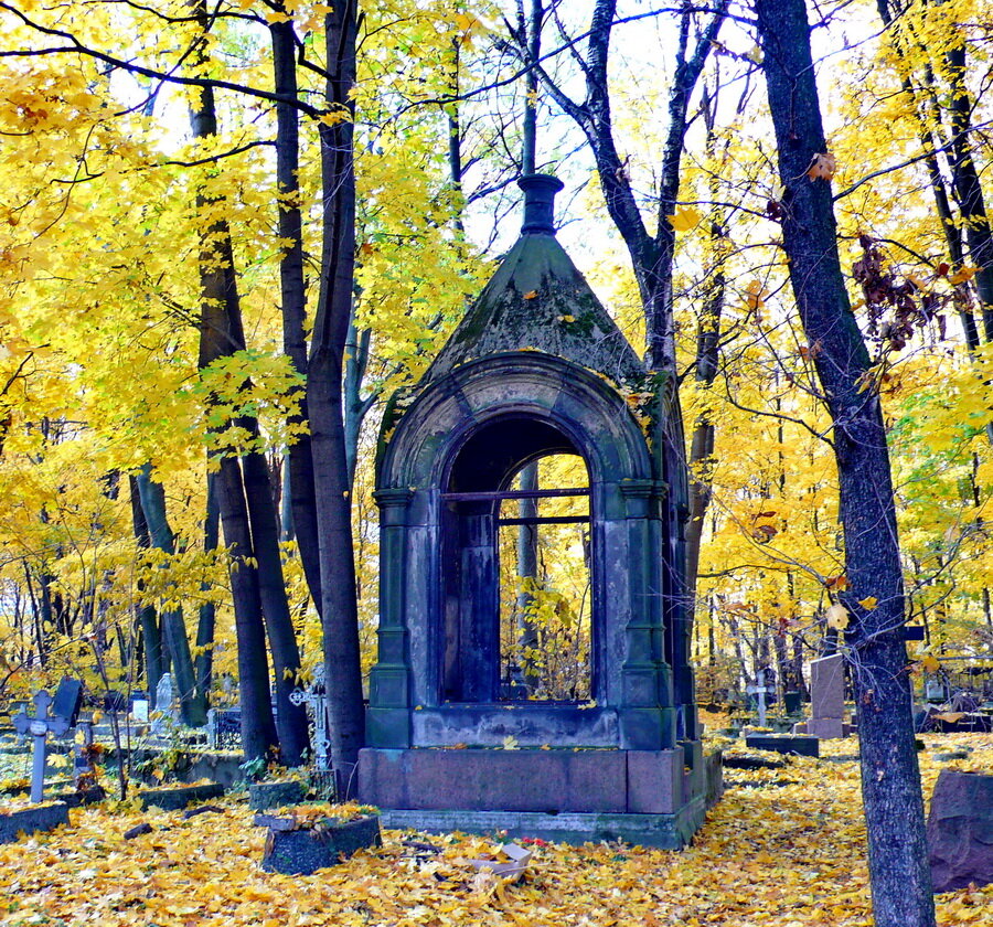 новодевичье кладбище санкт петербург фото