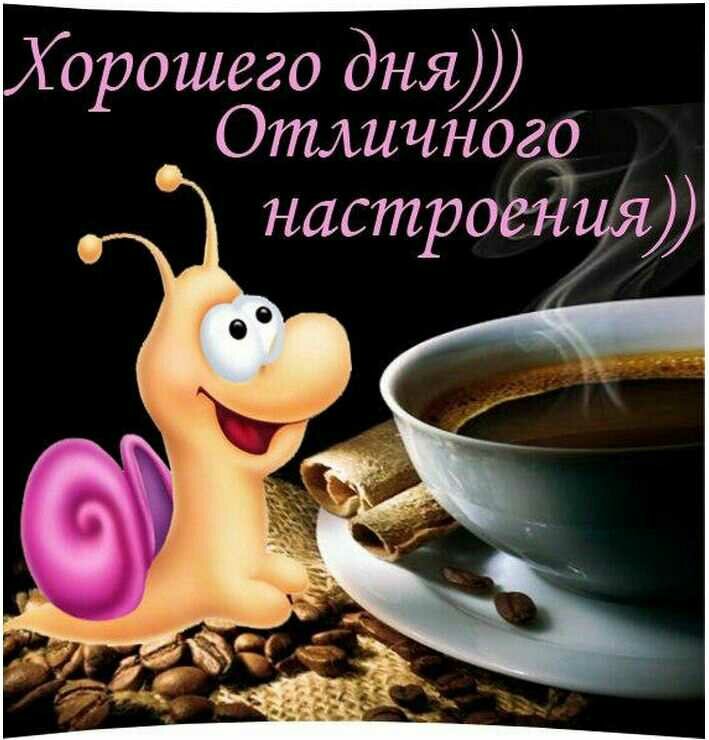 �������� ������ ���� �������� ��� ������� ����������