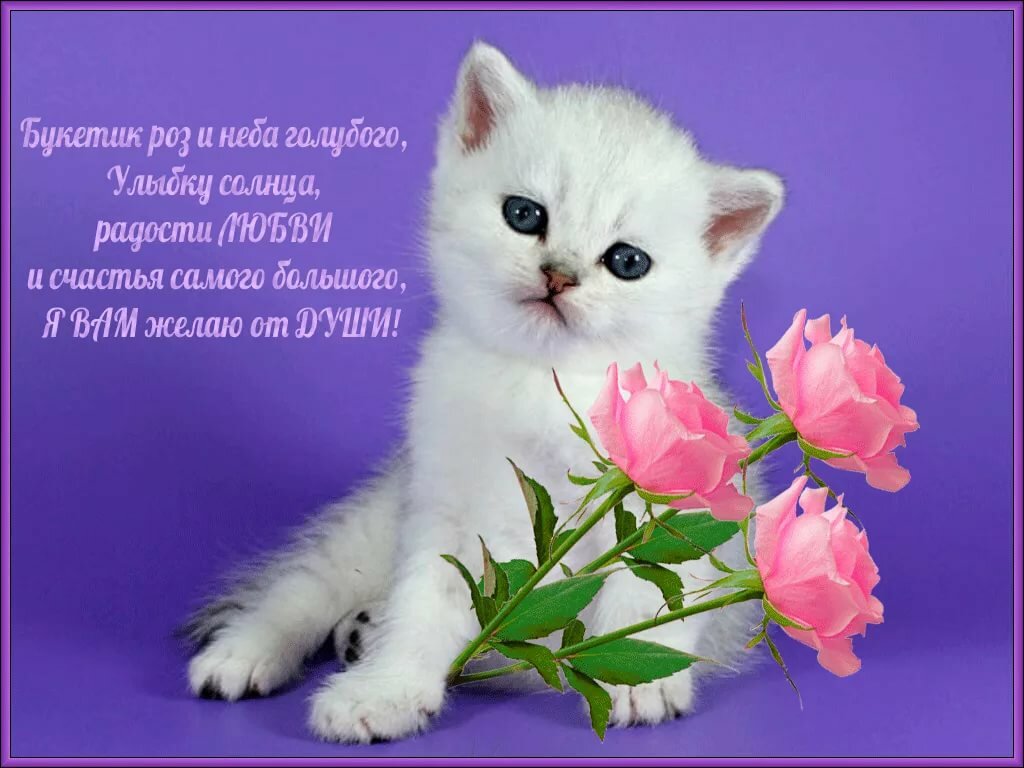 ��������� � ���������, ��� ������������