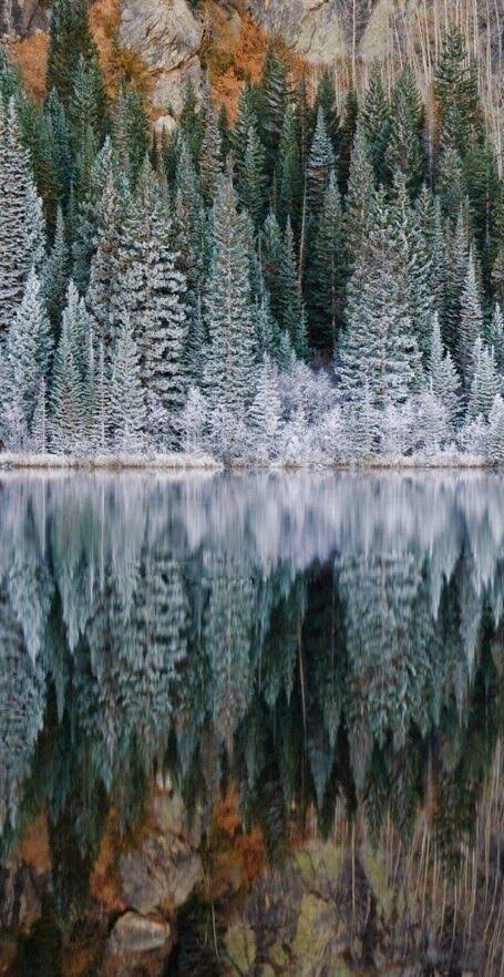 фотографии природы фото