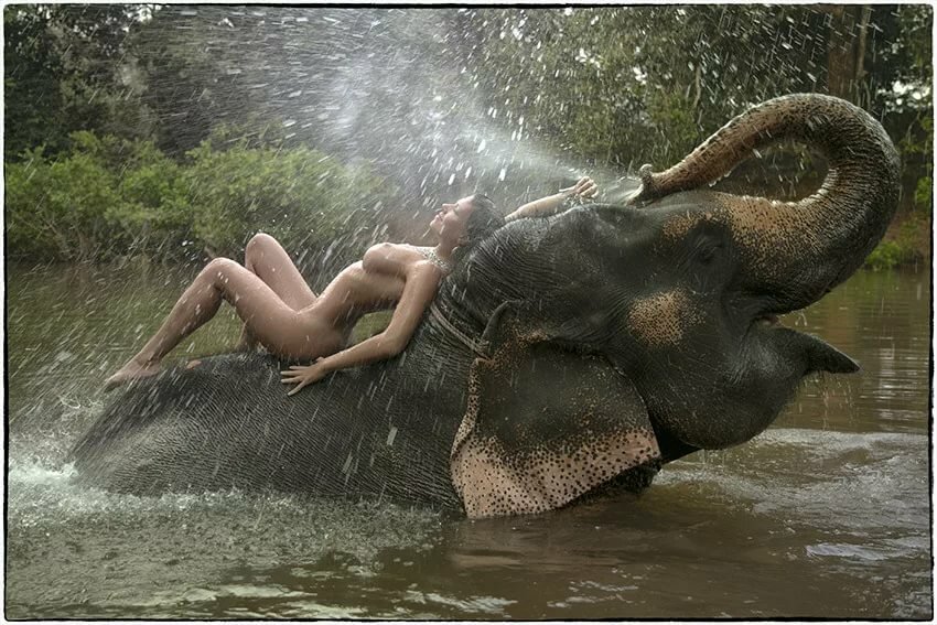 Emage gallary free porn elephant sex with girls images