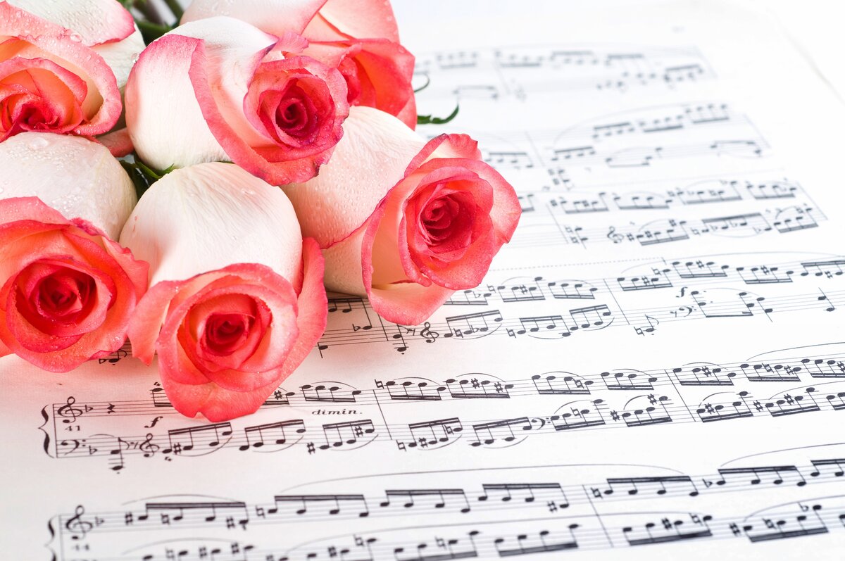 ���� �������� � �������, ����� �������