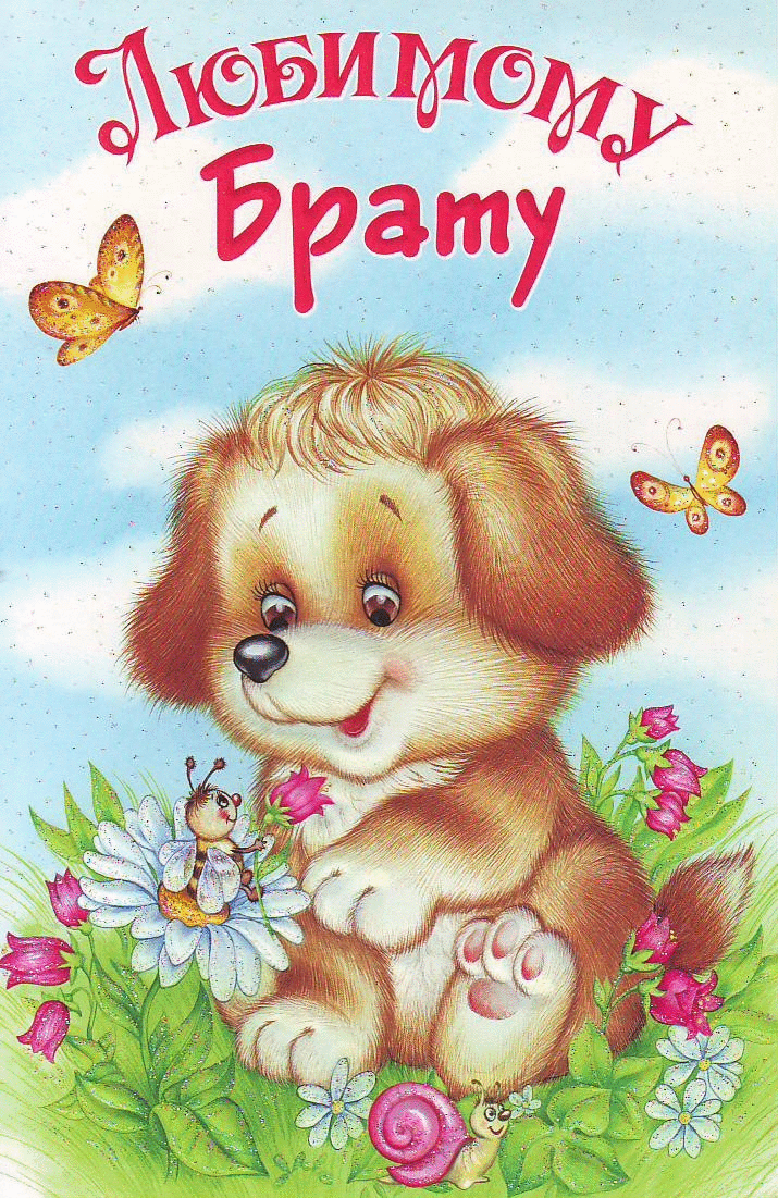 ������� ����� �� ���� �������� �� ������, ��������