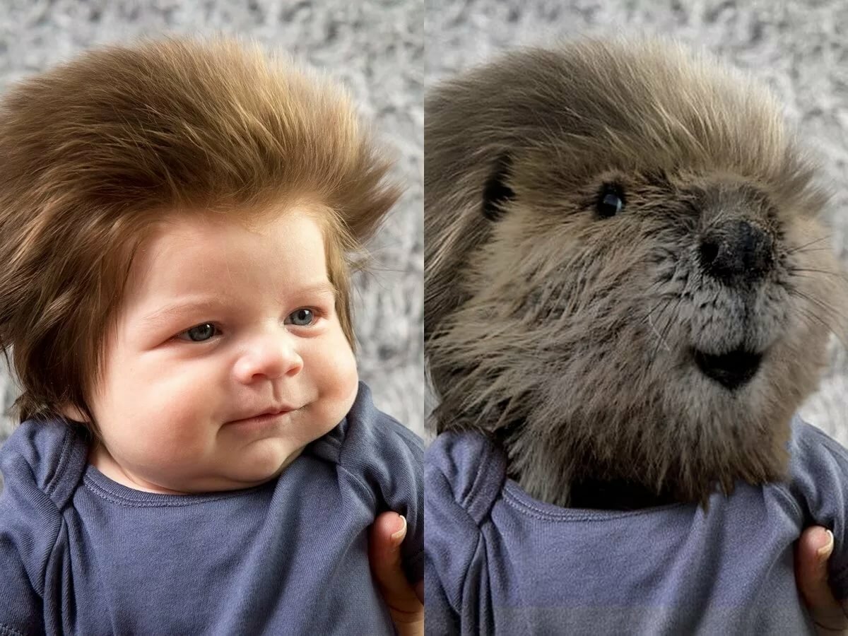 ������� �������� ���� � ������, �������� �������� �������������