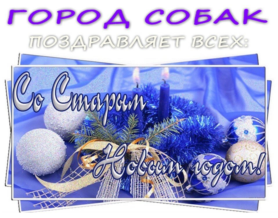 с новым годом поздравления фото