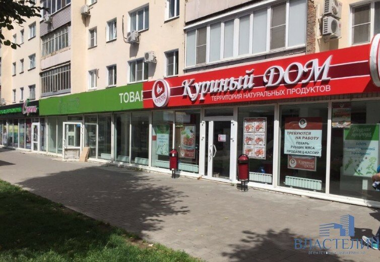 куриный дом фото