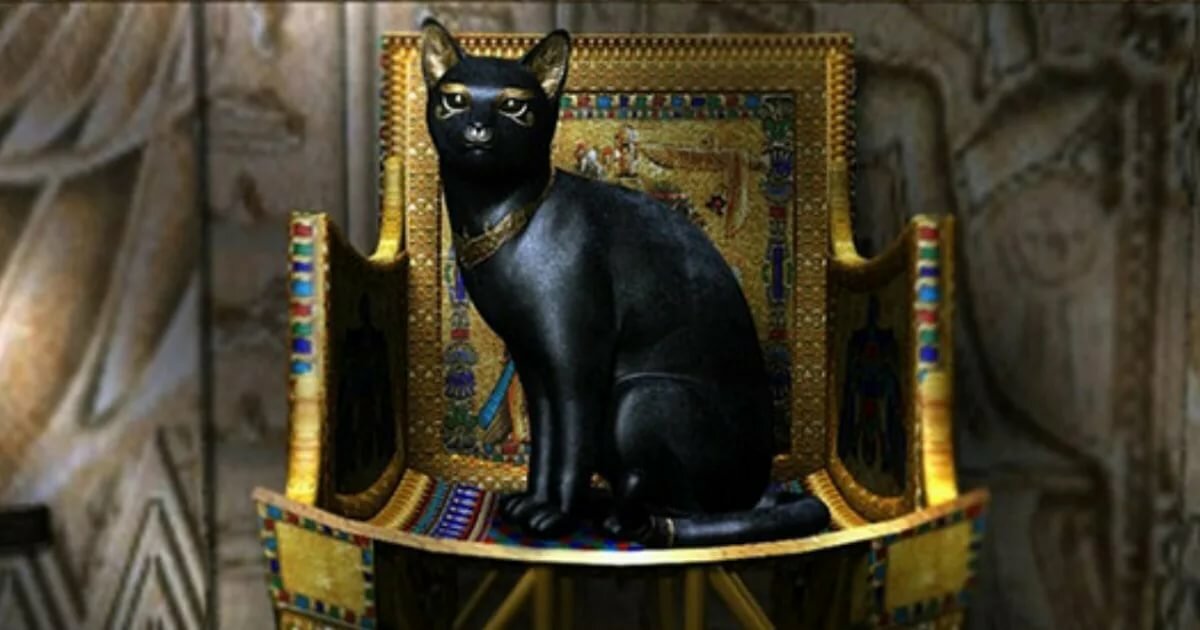кошка египет фото