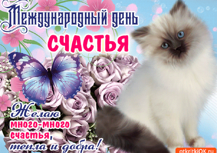 �������� � ���� ������� �����������