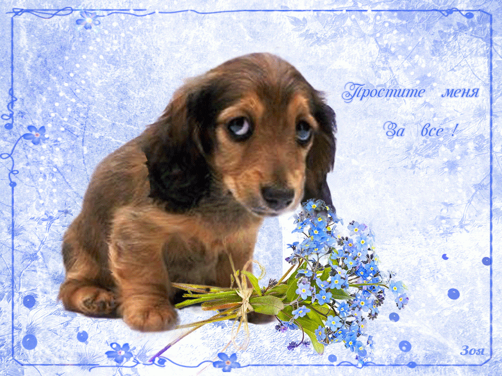 �������� � �������� ��������, ����� ����