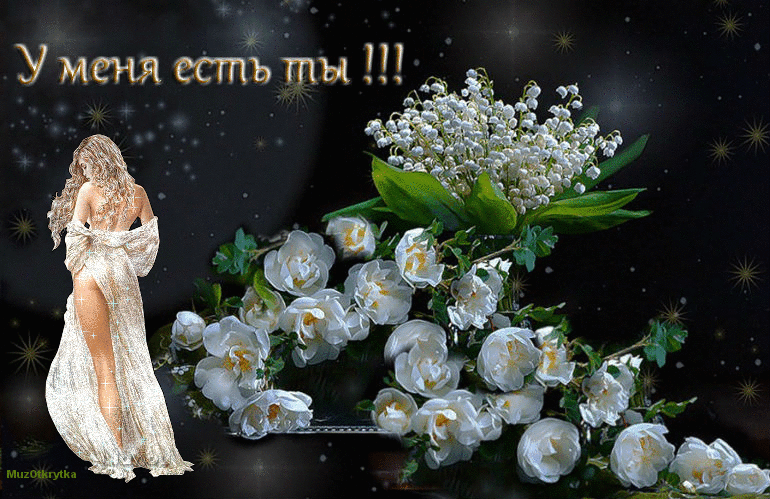 ���� �������� � �������, ������