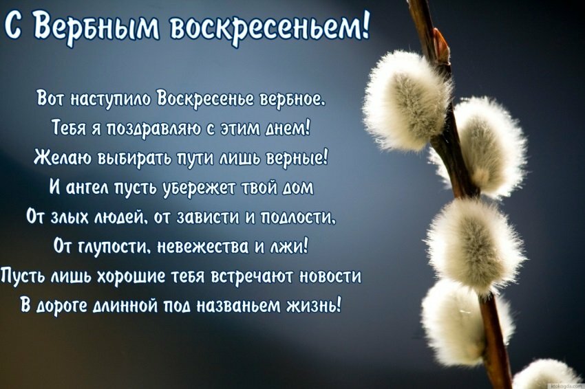 ������� ����������� 2017 ���� ��������, ��������