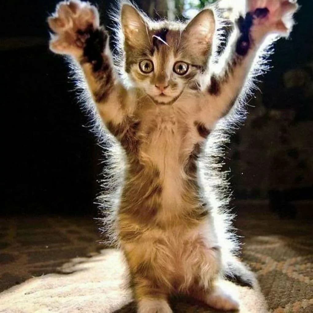 ���� ������, �������� � �������� ����������