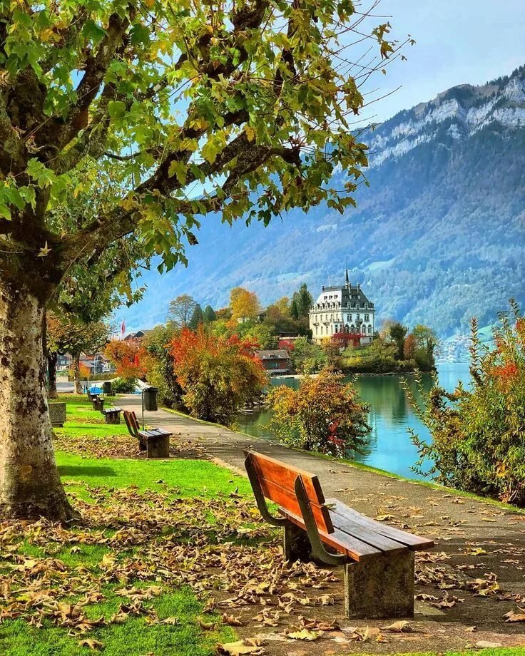 iseltwald швейцария фото