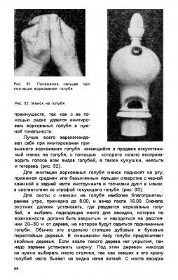 голуби вов фото