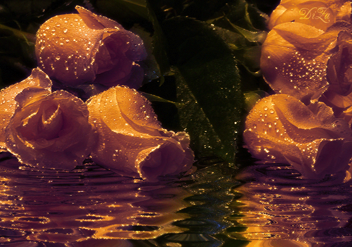 �������� �������� �������� � �������, ������� ��������