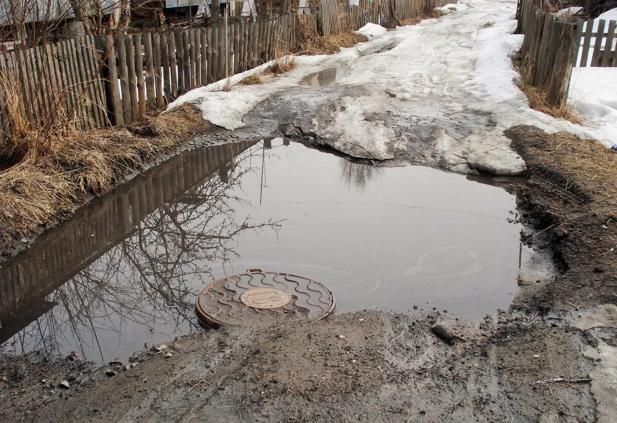 большая лужа фото