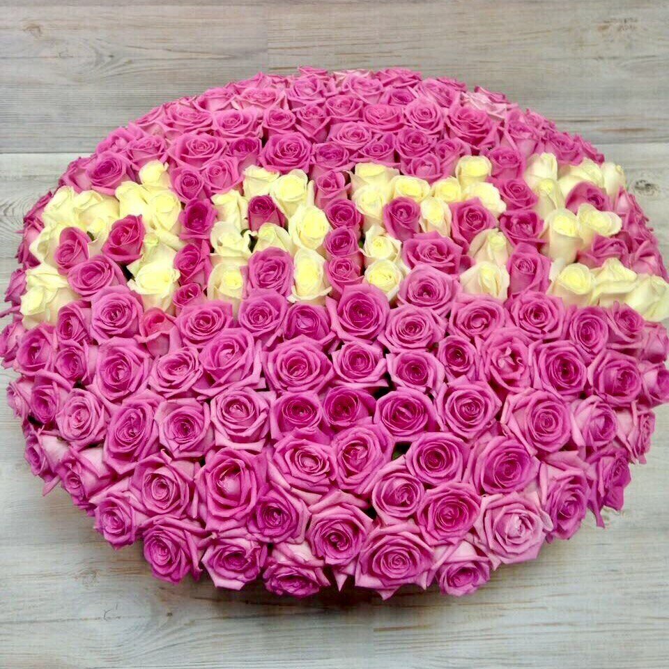 �������� �� ������ ����