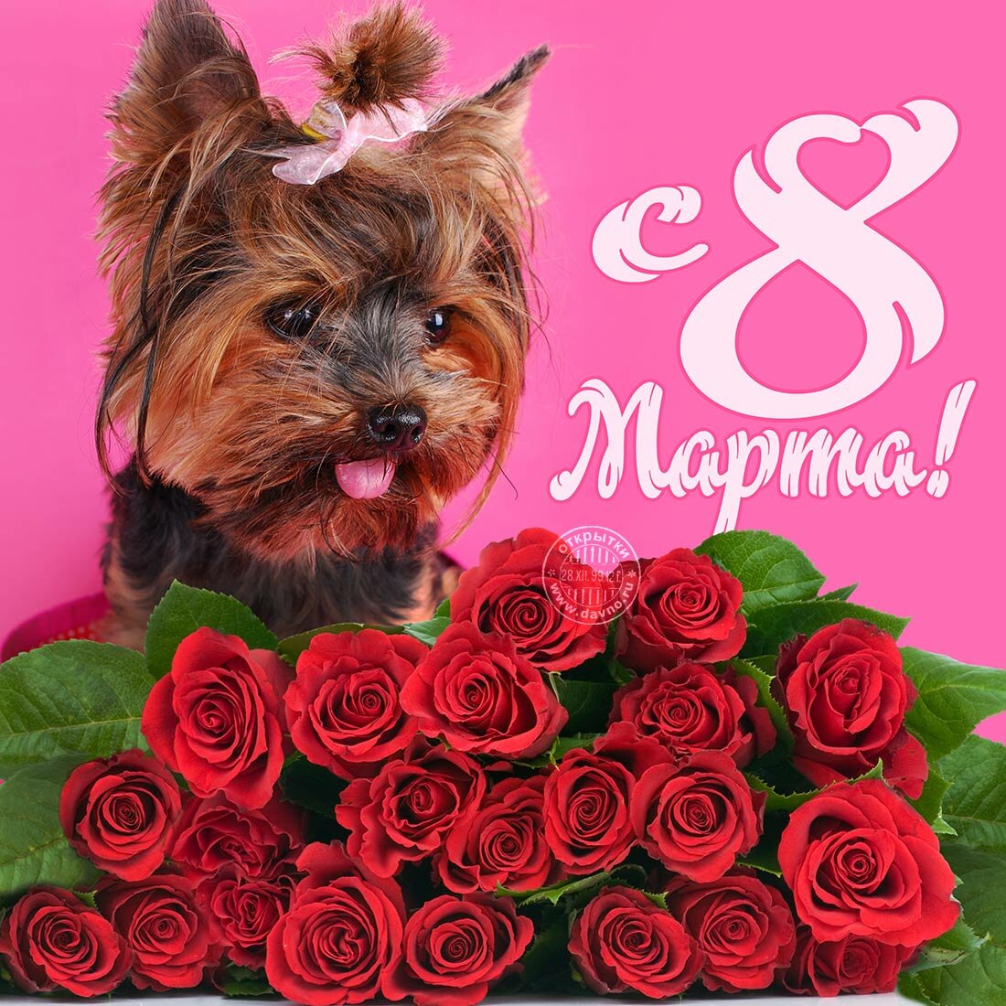 ���� ��������, ���� � 8 ����� ����������