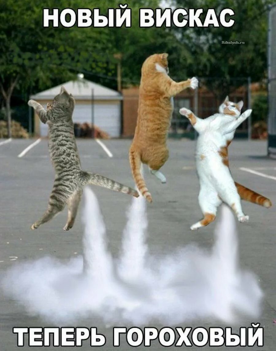 ���������� �������� ��� ������