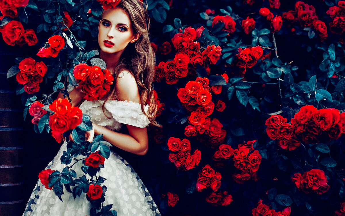 Что за слово картинки девушка с розой