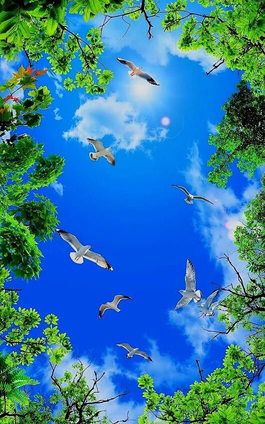 �������� ��� ��������� ��� ���