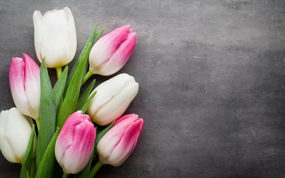 �������� ����� ��������