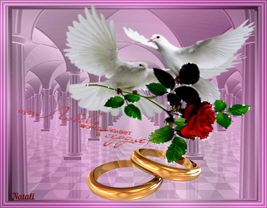 ��� ���������, �������� � ����������� ��������