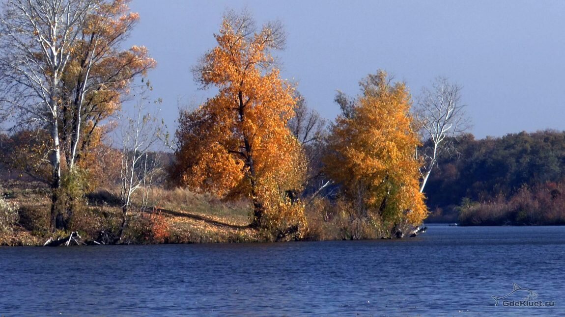 осень волга вольск фото