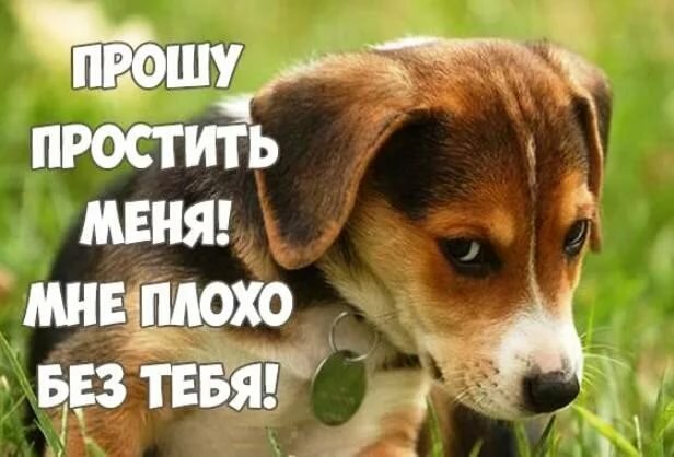 ������ �������� �������