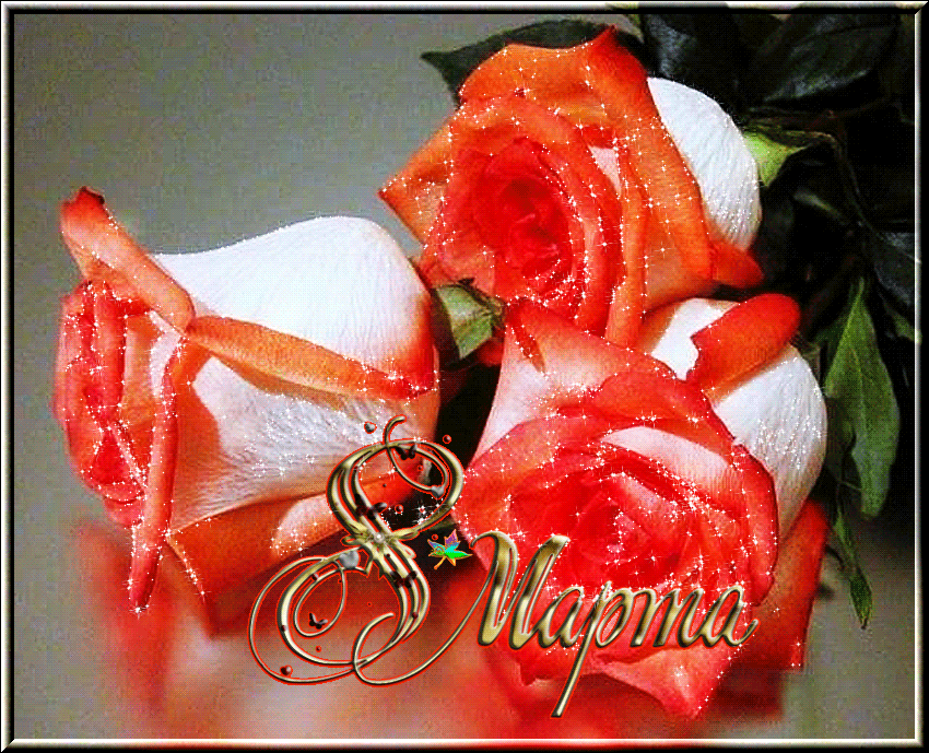 ����������� ���������, ����������� �������� � 8 ������