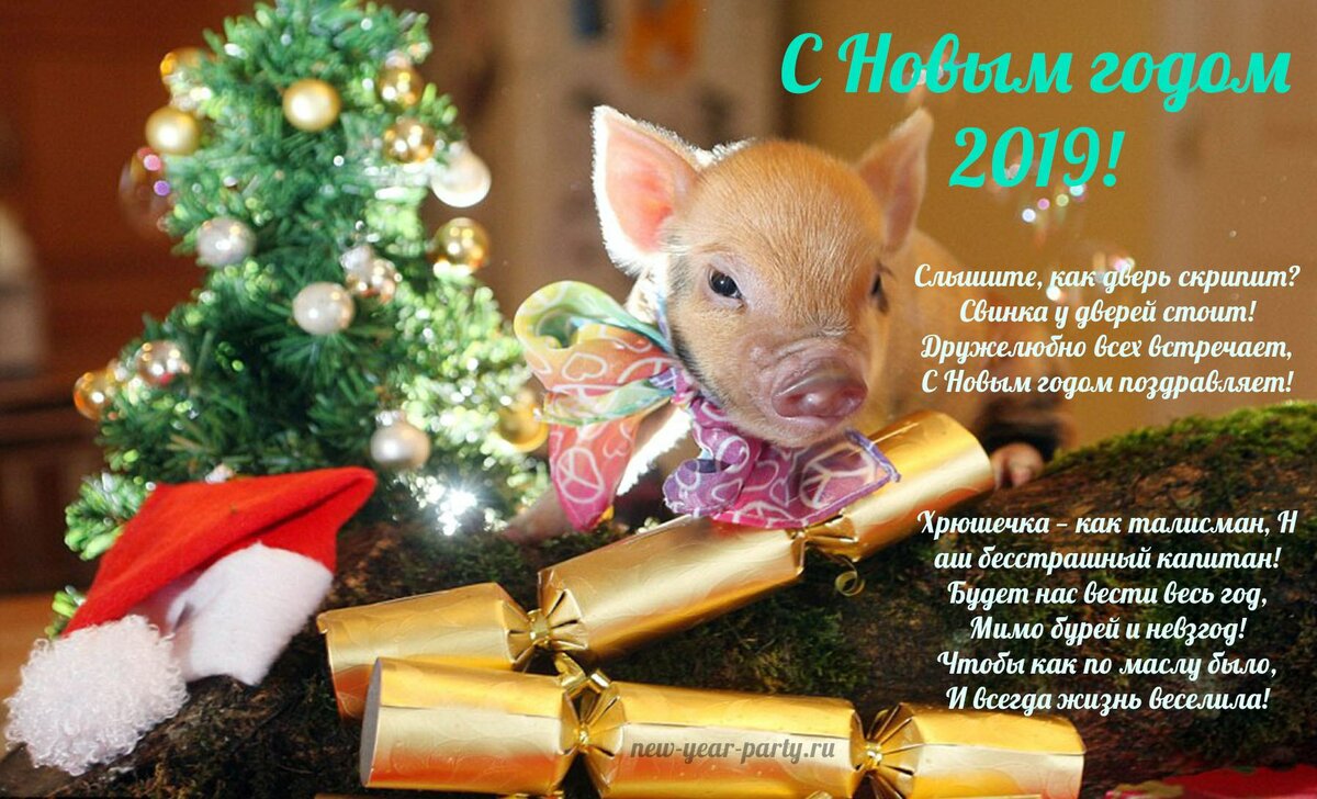 поздравление с новым годом фото