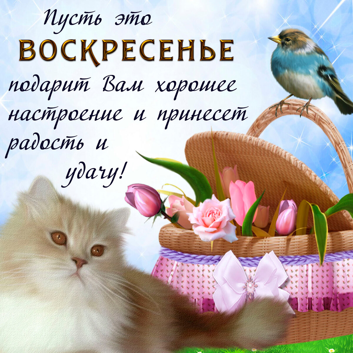 ������ �����, �������� ����� �����������